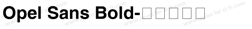 Opel Sans Bold字体转换